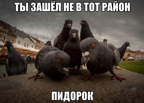 Вот это встреча!