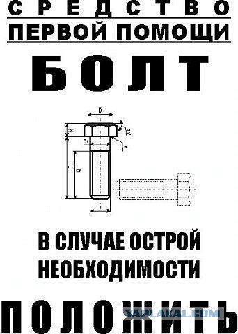 Весёлые картинки