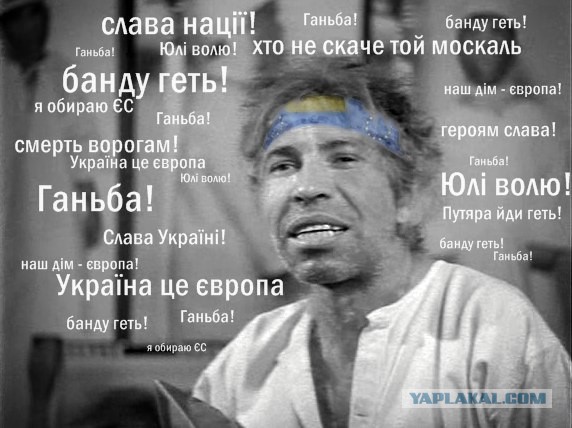 Привет ЯП из Донбасса