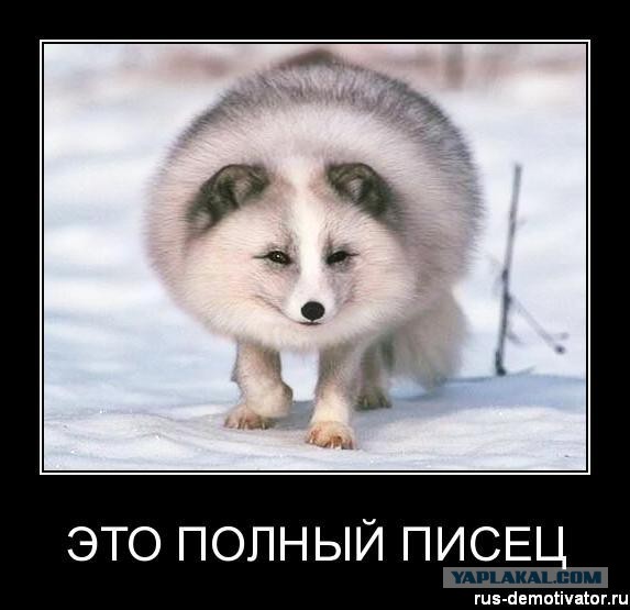 Украина? Ой, все