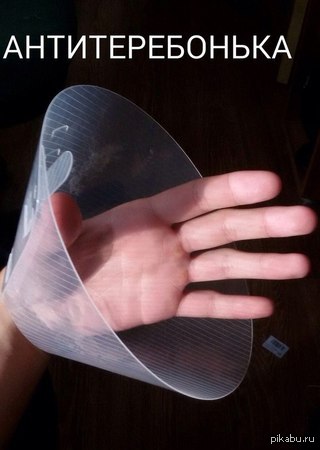 Смешные картинки