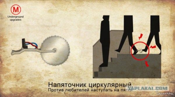 Вопрос: что это?