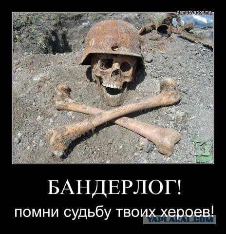 Фото подтверждающие значительные потери ВСУ