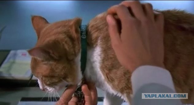10 самых огромных космических объектов и понятий