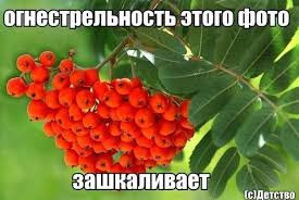 Когда кто-то плюсует твой заминусованый пост