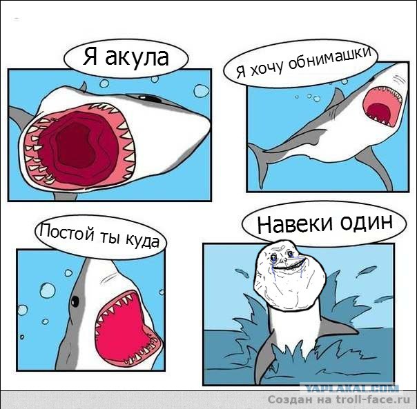Акула напала на сёрфера