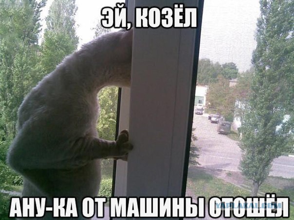 Картинки разные с интернету