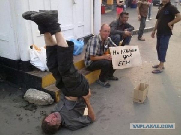 Картинки и прочее