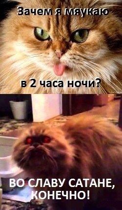 Картинки и демотиваторы