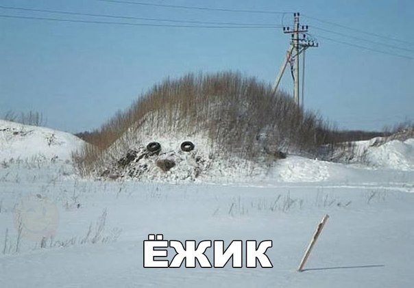 Разные картинки