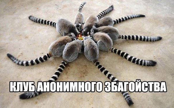 Подборка прикольных картинок