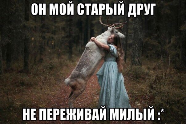 Подборка Картинок из сети