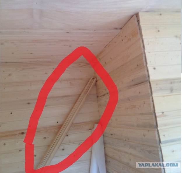 4 руки и 3 дня