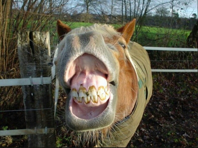 Подборка картинок 20.02.16