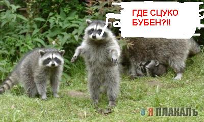 Разборки