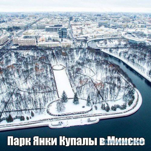 Смешные комментарии из социальных сетей 04.03.2016