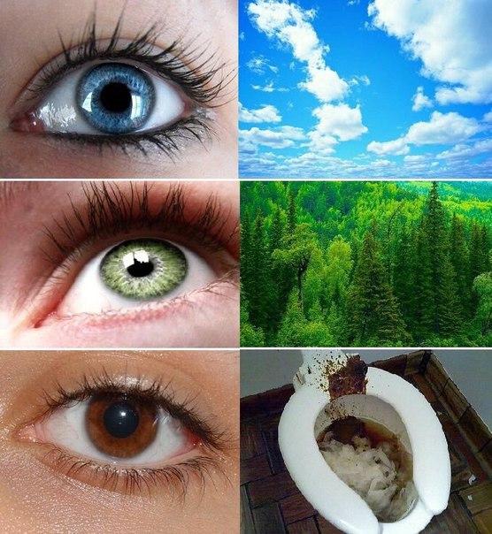 Абсурдный юмор ч.17