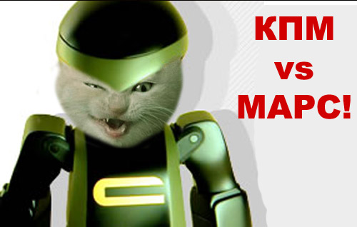 Коты, кошки, котята