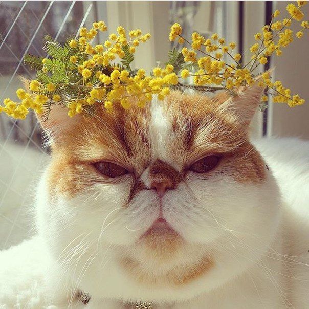 Красивые фото