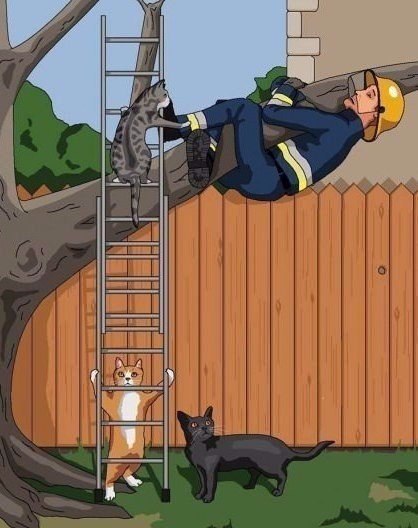 Прикольные и не очень картинки из сети