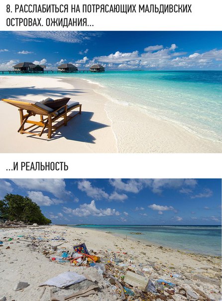 Интересные и веселые картинки