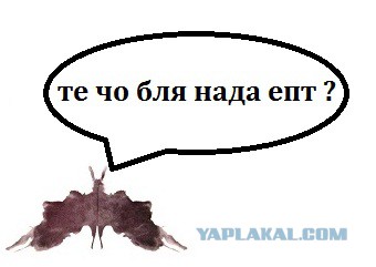 Я тоже вижу зайца, мне пора?