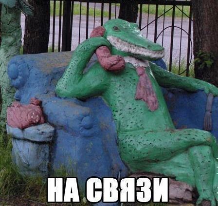 Смешные картинки из сети на 19.11.16