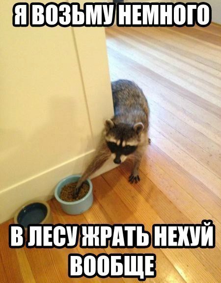 Приколюшки