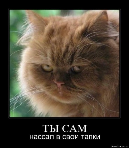 Подборка интересных и веселых картинок