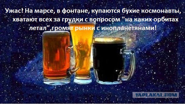 Очередная порция перлов