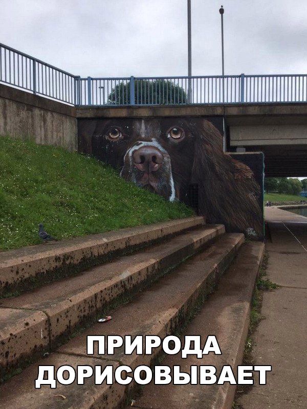Немного картинок