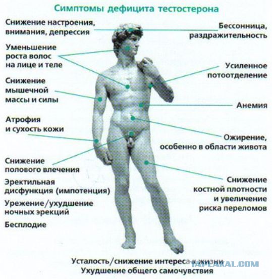 Первая в мире операция по пересадке головы покрыта мраком