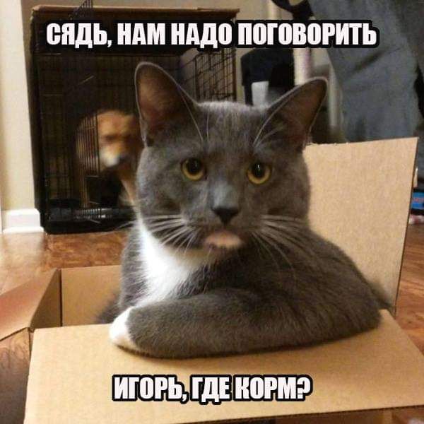 Что выберешь ты?