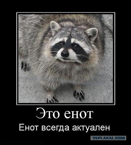 Всегда рады!