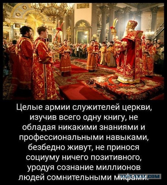 Дикая природа прекрасна: детёныш храма впервые выбрался охотиться на сквер