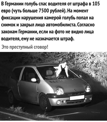 Картинки на воскресный день