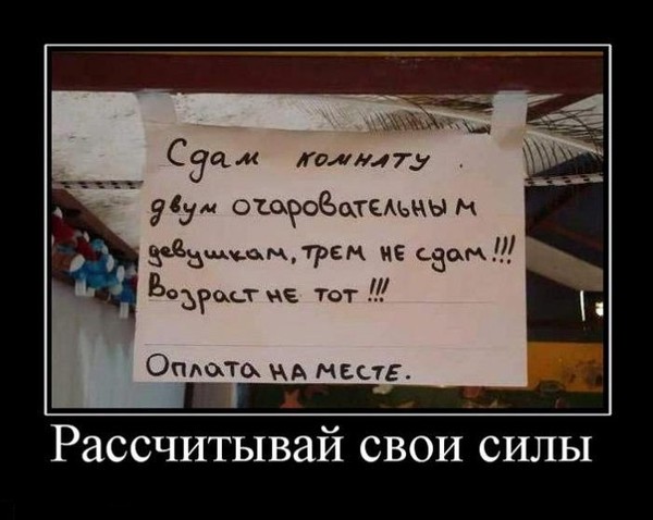 Объявления