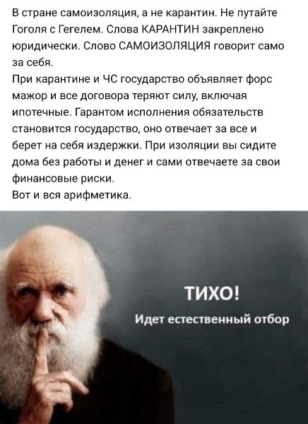 Тихо, идёт отбор