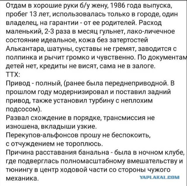 Забавные шутки, картинки и фразы из этих ваших интернетов