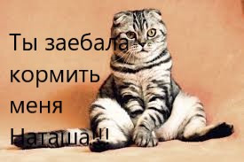 Красота - страшная сила