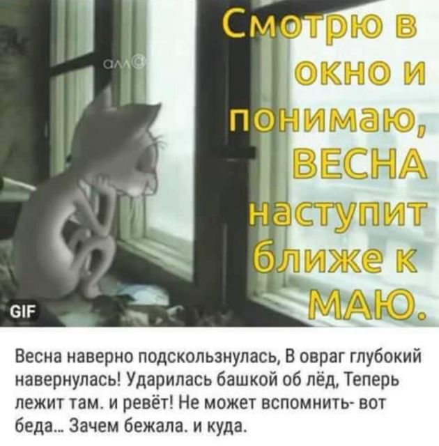 Так себе картинки 01.04.21