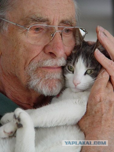 Возвращение лучшего друга.