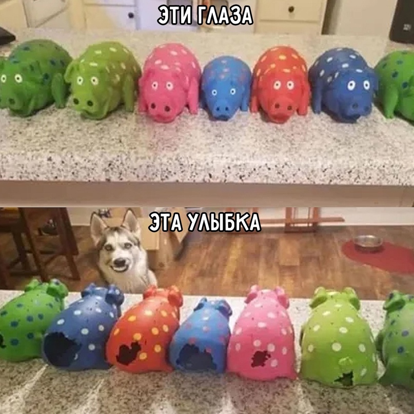 16237336.jpg