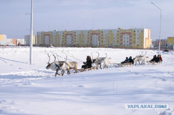 Прохладный пост