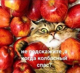 Так себе картинки 22.11.22
