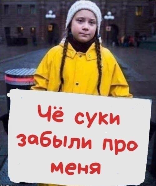 Грета Тунберг пыталась принять участие в протестах экоактивистов, требующих закрытия угольной шахты, но была задержана