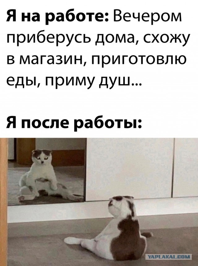 Картинки и мемы для настроения - 187