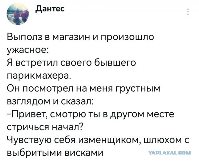 Забавные комментарии из социальных сетей (29.05.23)