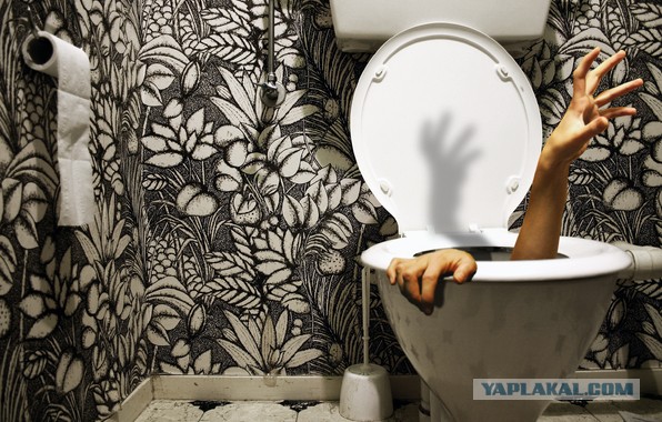 Хороший совет