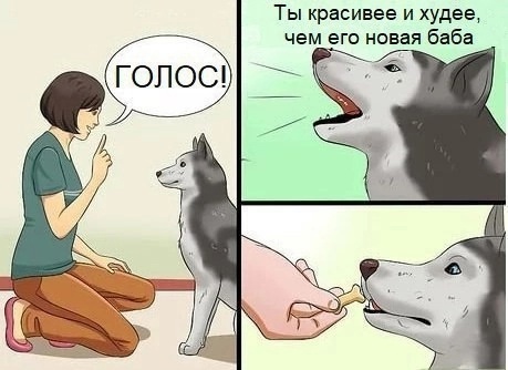 Крепость сдается?